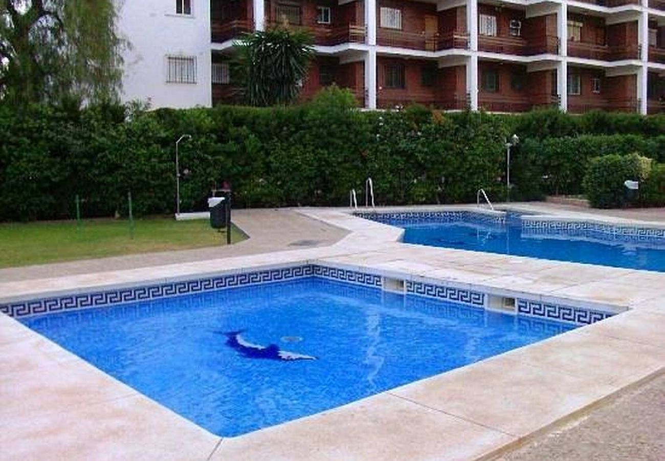 Apartment in Torremolinos - Club Playa Flores Torremolinos 